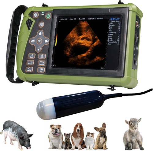 Portable veterinary ultrasound - portable,