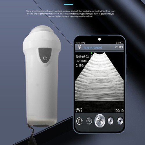 Wifi veterinary ultrasound - wifi,