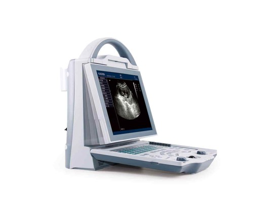Veterinary grade ultrasound - veterinary,