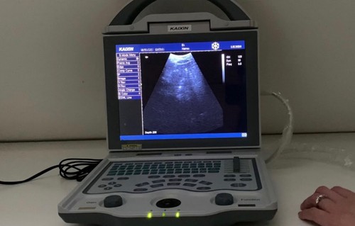 Veterinary grade ultrasound - grade,