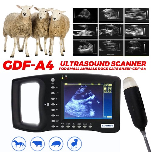 Portable veterinary ultrasound - portable,